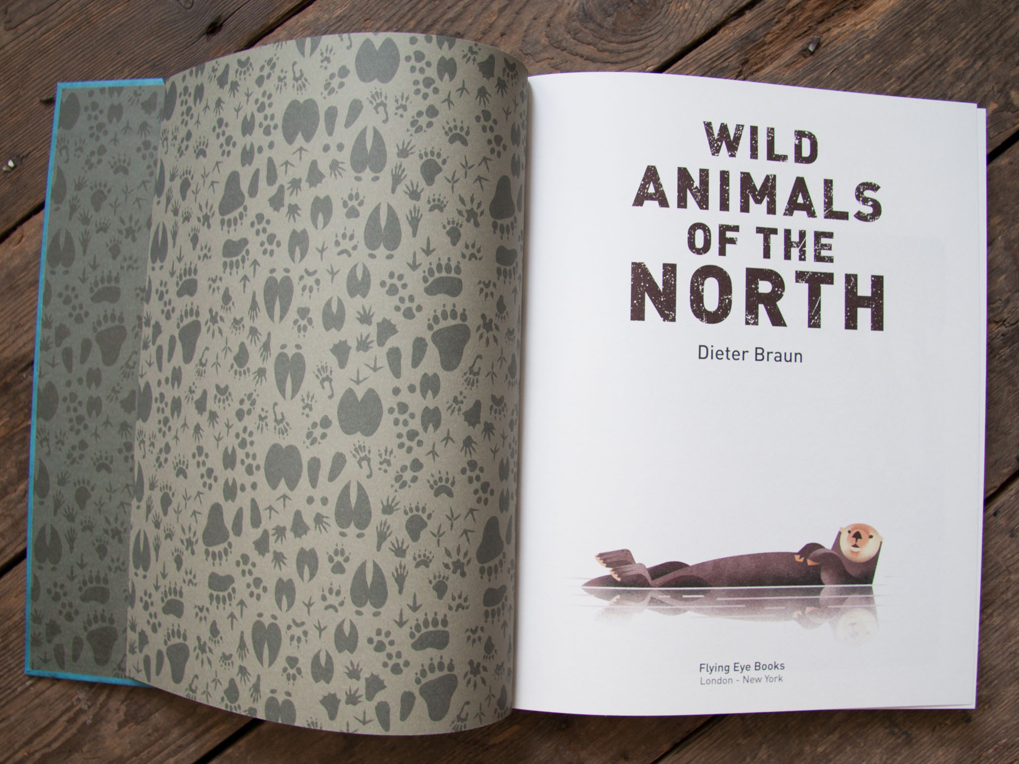 Flying Eye Books Wild Animals Of The North