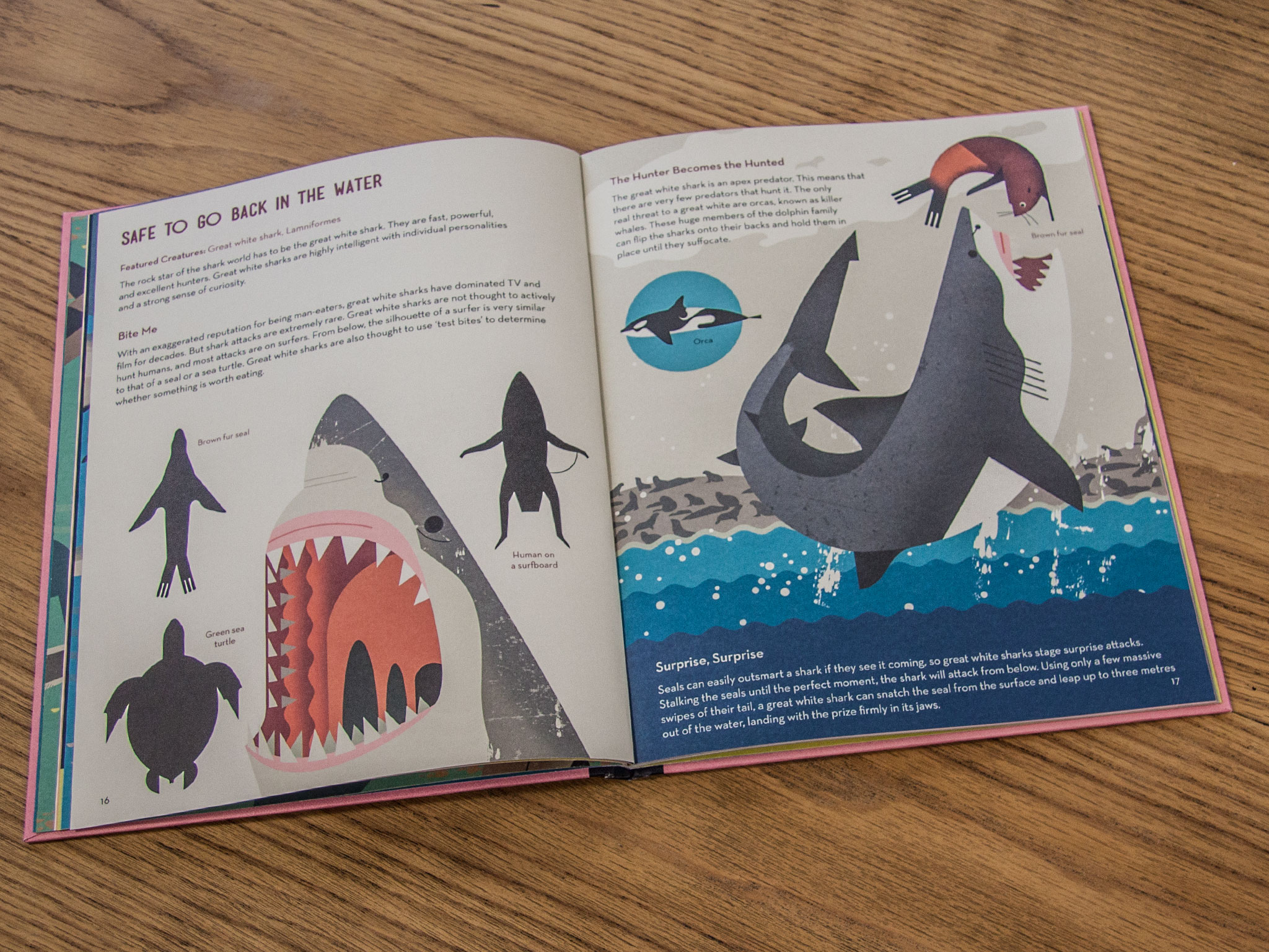 Smart About Sharks – Flying Eye Books