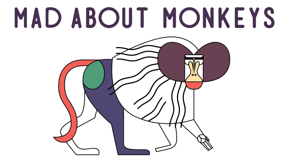 Mad About Monkeys Colouring In