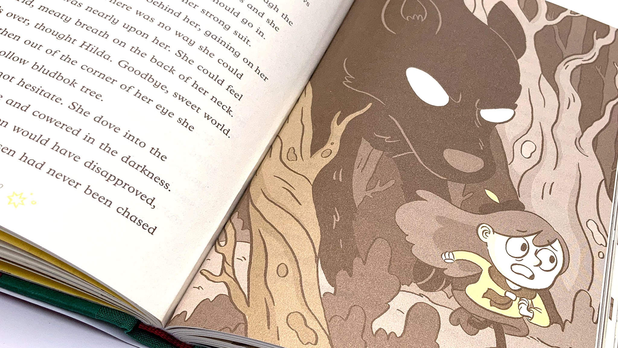 Hilda A Definitive Guide Flying Eye Books