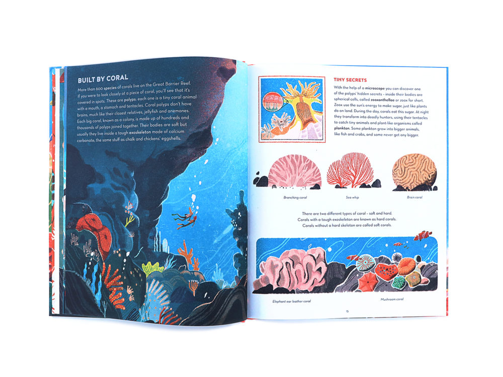 The Great Barrier Reef – Flying Eye Books