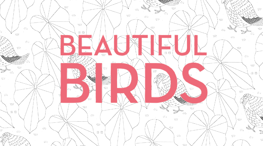 Beautiful Birds Colouring Sheets