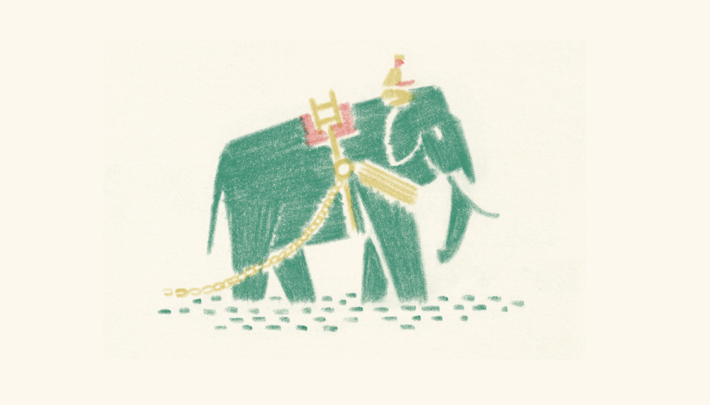 Bandoola: Drawing Elephants with William Grill!