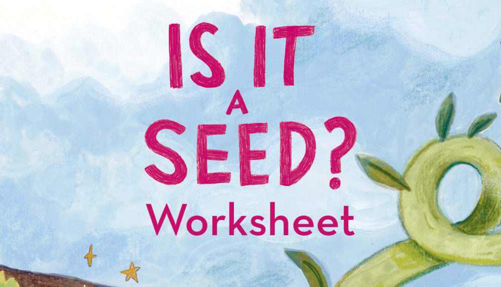 Is it a Seed? Worksheet