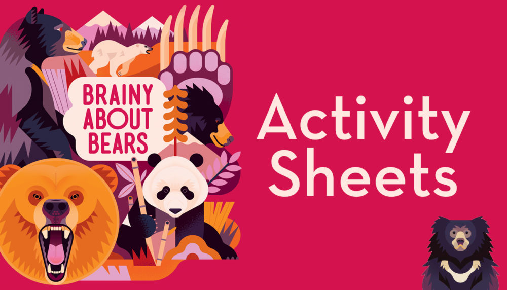 Brainy About Bears Activity Sheets