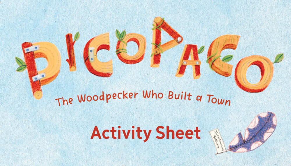 Help Picopaco Build a House!